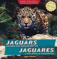 Cover image for Jaguars and Other Latin American Wild Cats / Jaguares Y Otros Felinos de Latinoamerica