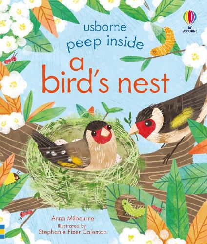 Cover image for Peep Inside a Bird's Nest