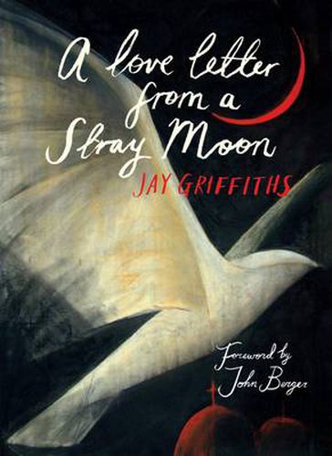 Cover image for A Love Letter from a Stray Moon