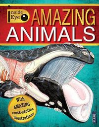 Cover image for Amazing Animals