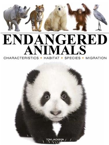 Cover image for Endangered Animals