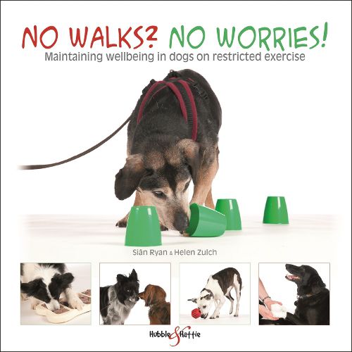 No walks? No worries!: Maintaining wellbeing in dogs on restricted exercise