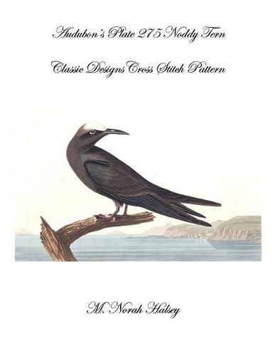 Cover image for Audubon's Plate 275 Noddy Tern: Classic Designs Cross Stitch Pattern