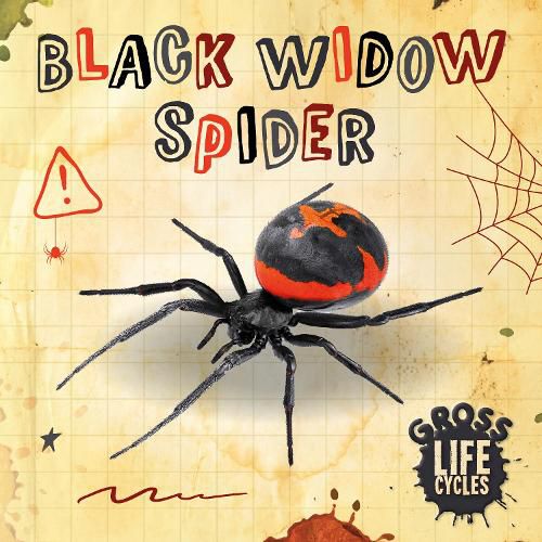 Cover image for Black Widow Spider