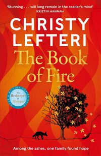 Cover image for The Book of Fire