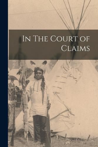 Cover image for In The Court of Claims