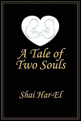 Cover image for A Tale of Two Souls