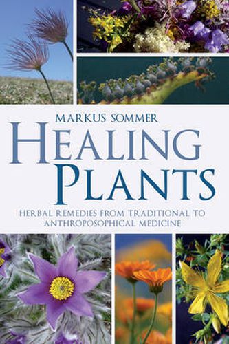 Cover image for Healing Plants: Herbal Remedies from Traditional to Anthroposophical Medicine