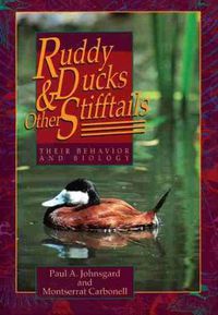 Cover image for Ruddy Ducks and Other Stifftails: Their Behavior and Biology