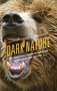 Cover image for Dark Nature: Anti-Pastoral Essays in American Literature and Culture