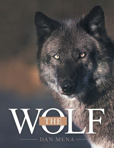 Cover image for The Wolf