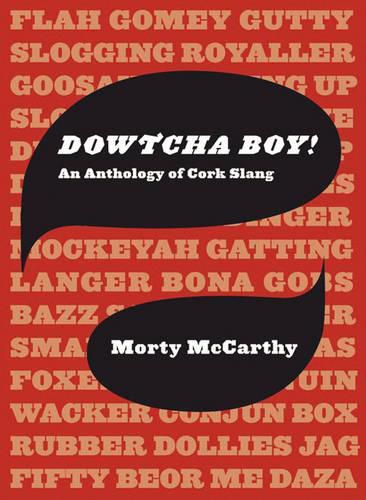 Cover image for Dowtcha Boy: An Anthology of Cork Slang