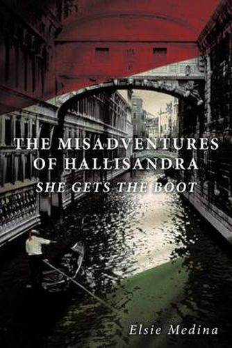 Cover image for THE Misadventures of Hallisandra: She Gets the Boot