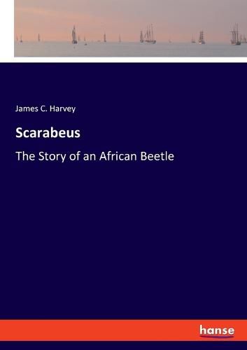 Cover image for Scarabeus