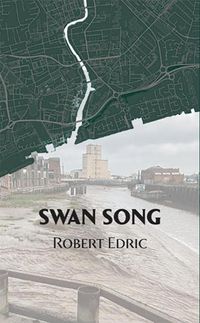 Cover image for Swan Song #3