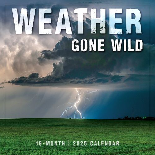 2025 Weather Gone Wild Wall Calendar