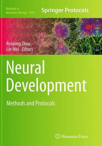 Cover image for Neural Development: Methods and Protocols