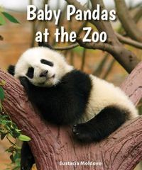 Cover image for Baby Pandas at the Zoo