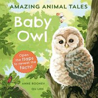 Cover image for Amazing Animal Tales: Baby Owl