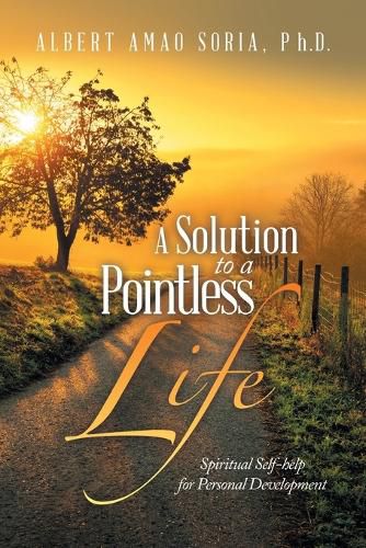 Cover image for A Solution to a Pointless Life