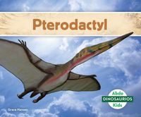 Cover image for Pterodactyl (Pterodactyl)