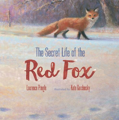 Cover image for Secret Life of the Red Fox