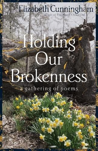Cover image for Holding Our Brokenness