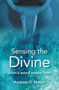 Cover image for Sensing the Divine: John's word made flesh