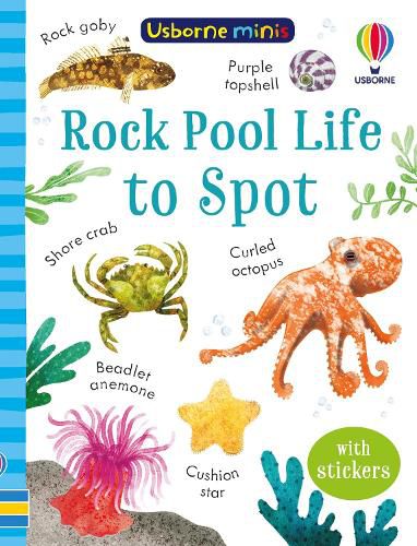 Cover image for Rock Pool Life to Spot
