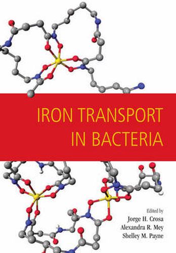 Cover image for Iron Transport in Bacteria