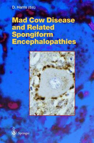 Cover image for Mad Cow Disease and Related Spongiform Encephalopathies