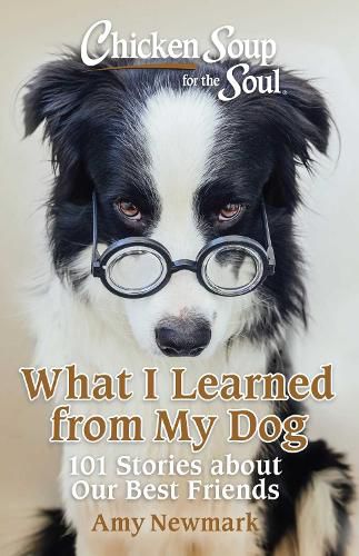 Cover image for Chicken Soup for the Soul: What I Learned from My Dog