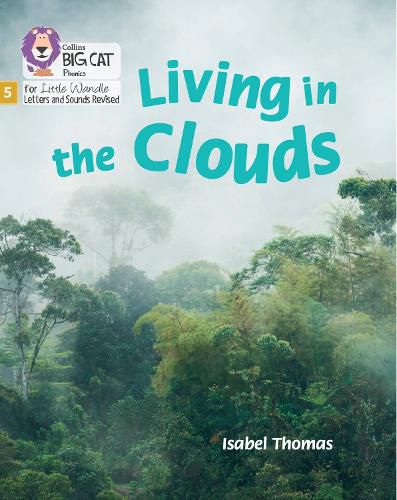 Cover image for Living in the Clouds: Phase 5 Set 1