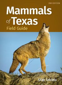 Cover image for Mammals of Texas Field Guide