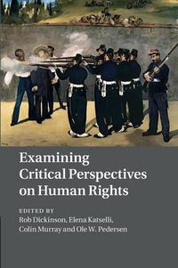 Cover image for Examining Critical Perspectives on Human Rights