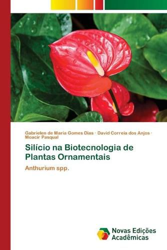 Silicio na Biotecnologia de Plantas Ornamentais