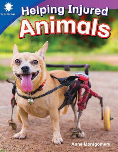 Cover image for Helping Injured Animals