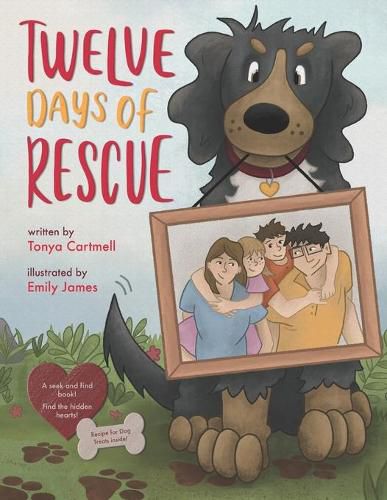 Cover image for The Twelve Days of Rescue