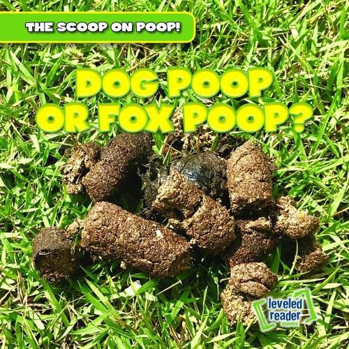 Dog Poop or Fox Poop?