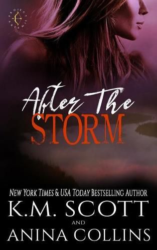 Cover image for After the Storm: A Project Artemis Novel