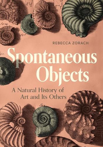 Cover image for Spontaneous Objects