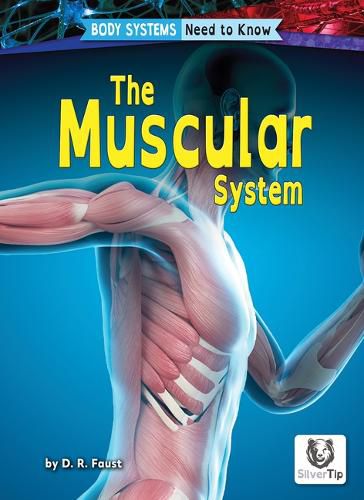 Cover image for The Muscular System