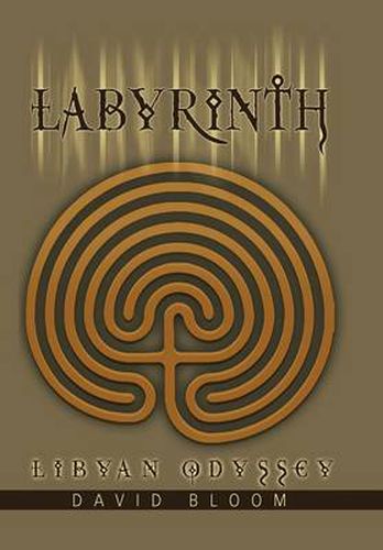 Cover image for Labyrinth