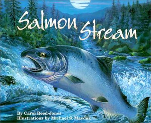 Cover image for Salmon Stream