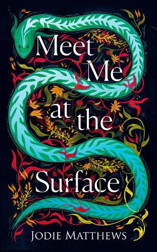 Cover image for Meet Me at the Surface