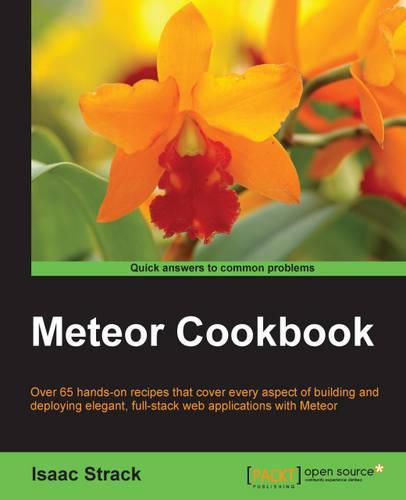 Cover image for Meteor Cookbook