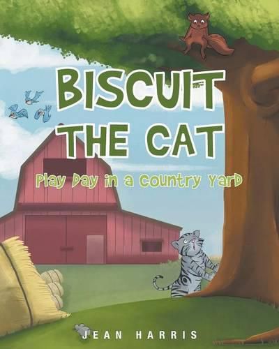 Cover image for Biscuit the Cat: Play Day in a Country Yard