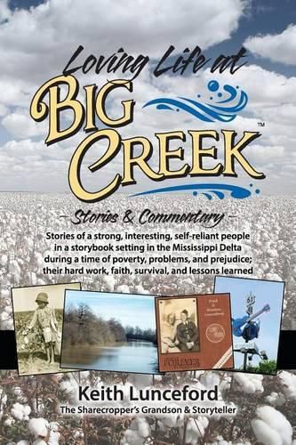 Cover image for Loving Life at Big Creek