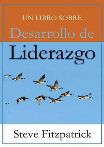 Cover image for Desarrollo de Liderazgo