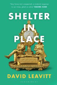 Cover image for Shelter in Place